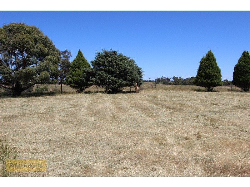 100 Pitlochry Road, Neville NSW 2799