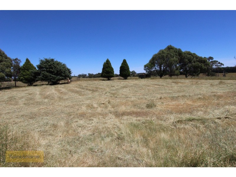 100 Pitlochry Road, Neville NSW 2799