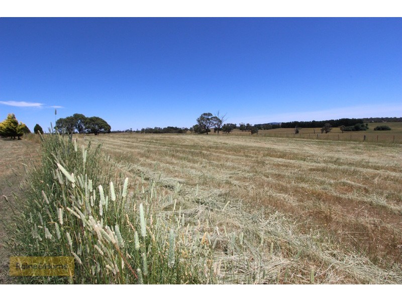 100 Pitlochry Road, Neville NSW 2799