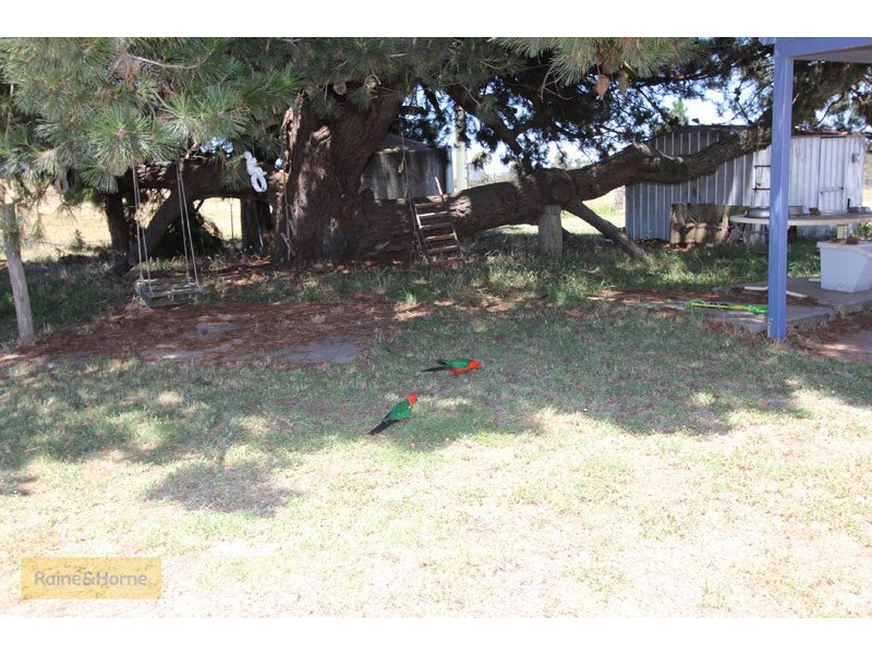 100 Pitlochry Road, Neville NSW 2799