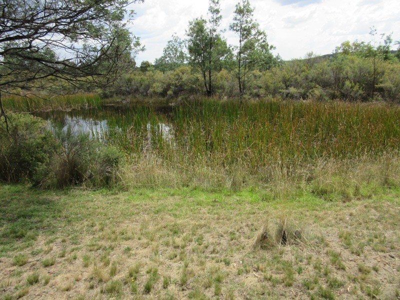 3703 Limekilns Rd, Wattle Flat NSW 2795