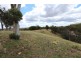 740 Red Hill Road, Paling Yards NSW 2795