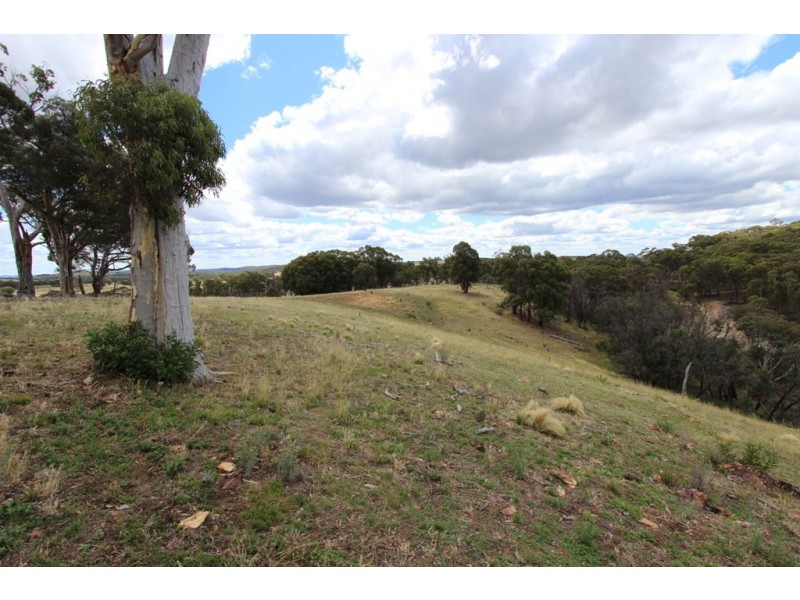 740 Red Hill Road, Paling Yards NSW 2795