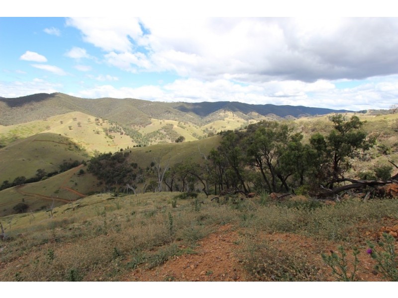 740 Red Hill Road, Paling Yards NSW 2795