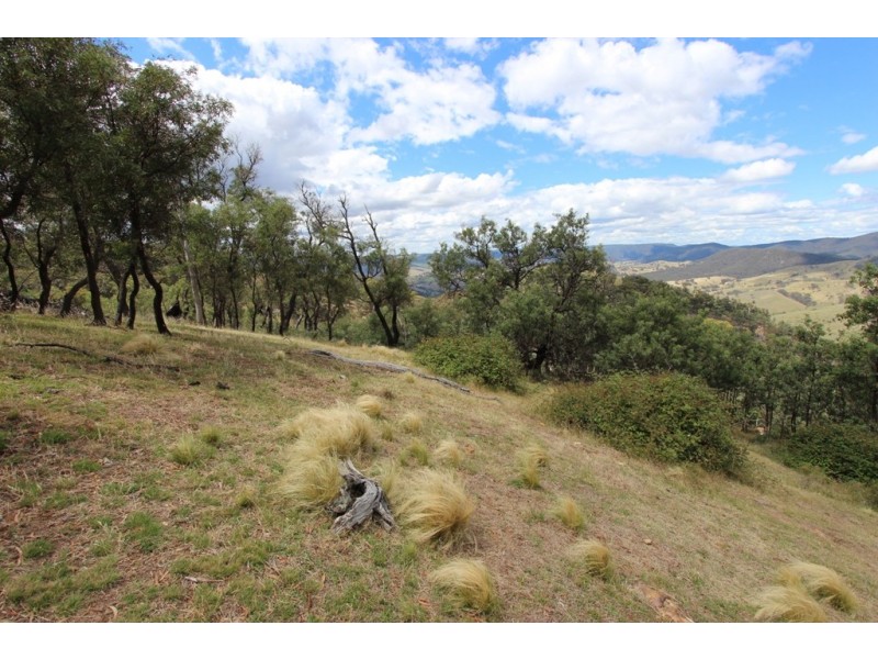 740 Red Hill Road, Paling Yards NSW 2795