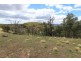 740 Red Hill Road, Paling Yards NSW 2795