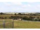 45 Marion Close, Wimbledon NSW 2795