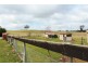 45 Marion Close, Wimbledon NSW 2795