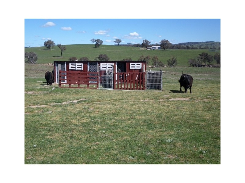 45 Marion Close, Wimbledon NSW 2795