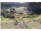 Lots 56 and 66 Mount Horrible Road, Limekilns NSW 2795