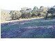 Lots 56 and 66 Mount Horrible Road, Limekilns NSW 2795
