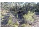 Lots 56 and 66 Mount Horrible Road, Limekilns NSW 2795