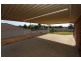 50 Halfpenny Drive, Kelso NSW 2795
