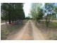 266 Duramana Road, Eglinton NSW 2795
