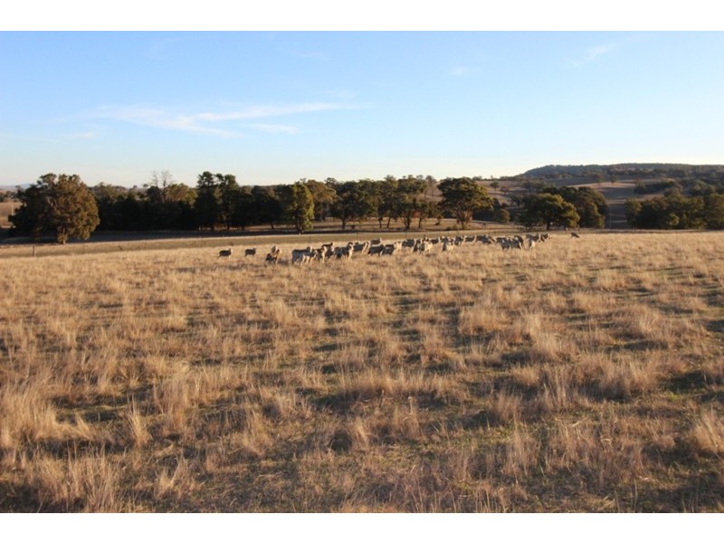 28 The Bridle Track, Duramana NSW 2795