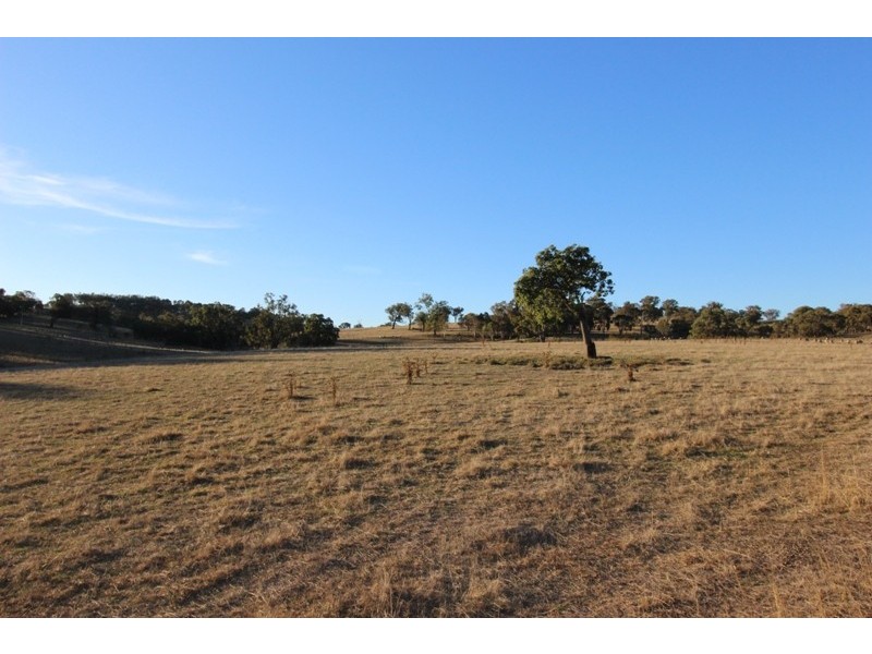 28 The Bridle Track, Duramana NSW 2795