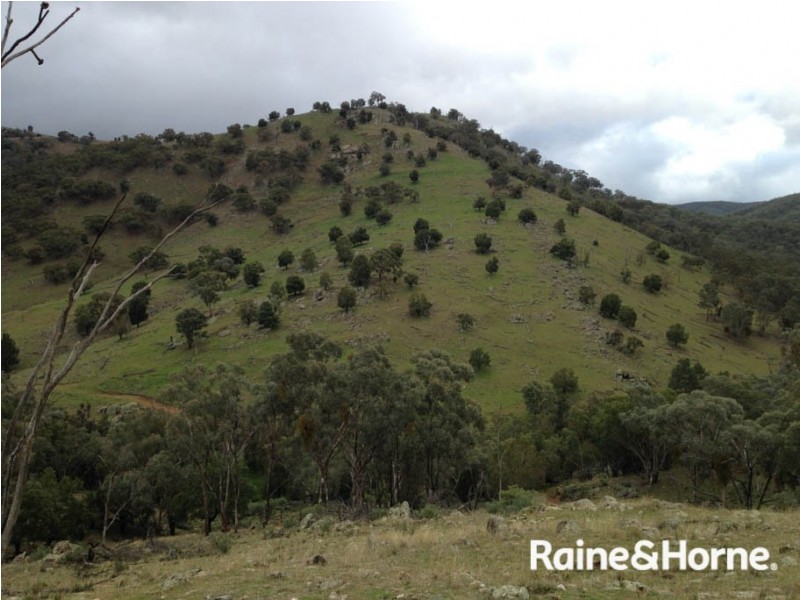2022 The Bridle Track, Bruinbun NSW 2795 Raine & Horne Bathurst