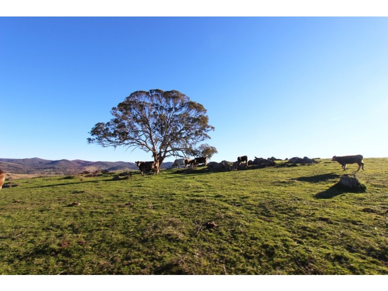 2216 McIntosh Road, Freemantle NSW 2795