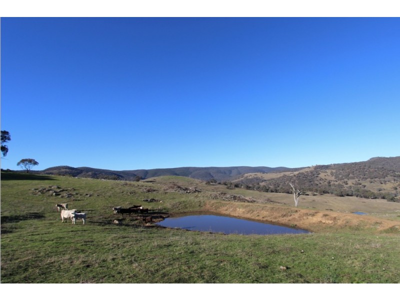 2216 McIntosh Road, Freemantle NSW 2795