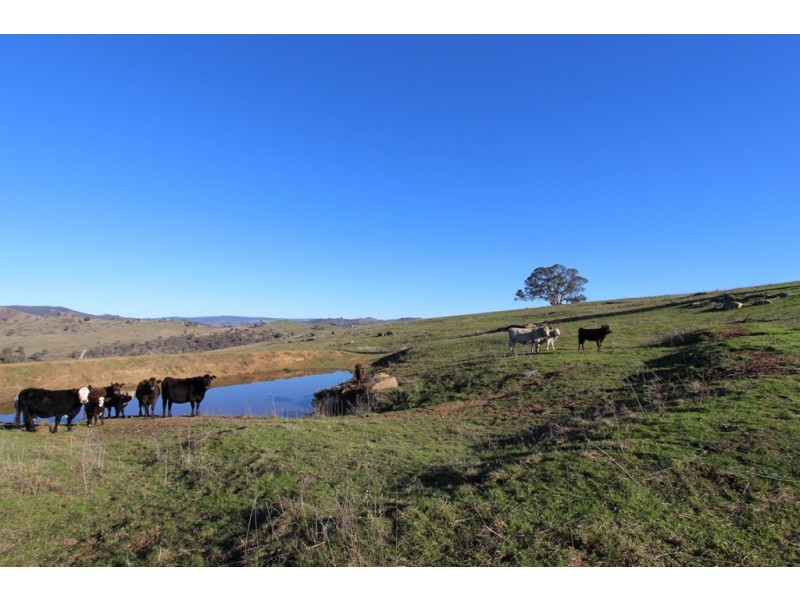 2216 McIntosh Road, Freemantle NSW 2795