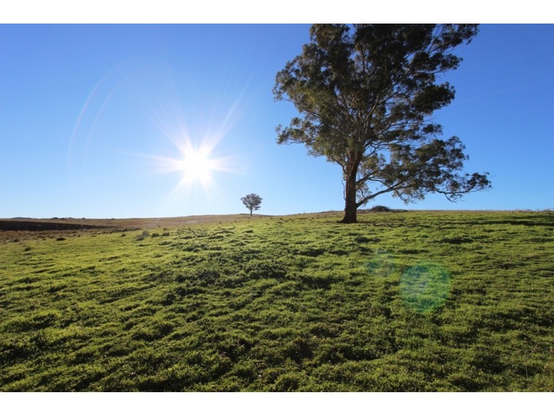 2216 McIntosh Road, Freemantle NSW 2795