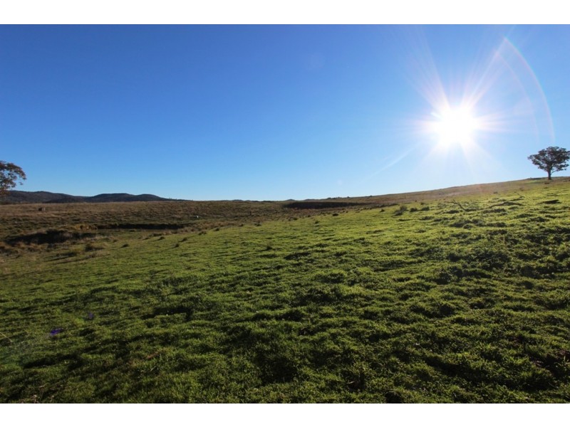 2216 McIntosh Road, Freemantle NSW 2795