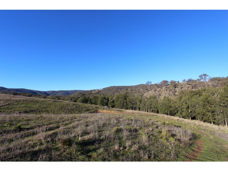 2216 McIntosh Road, Freemantle NSW 2795