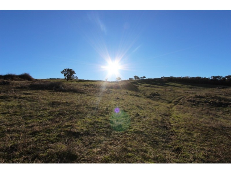 2216 McIntosh Road, Freemantle NSW 2795