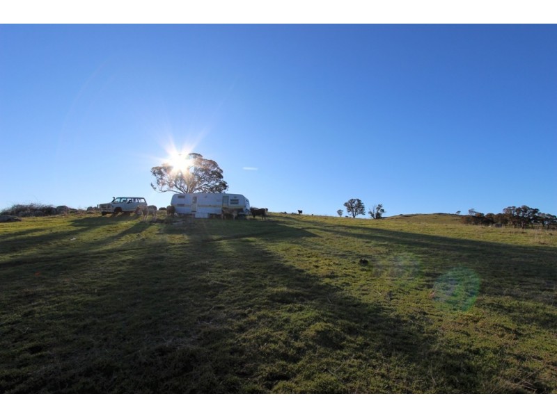 2216 McIntosh Road, Freemantle NSW 2795