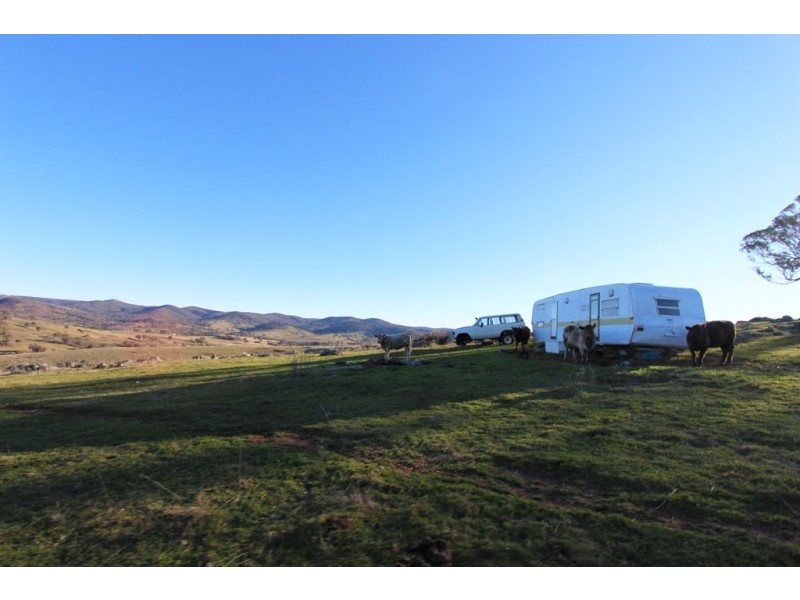 2216 McIntosh Road, Freemantle NSW 2795