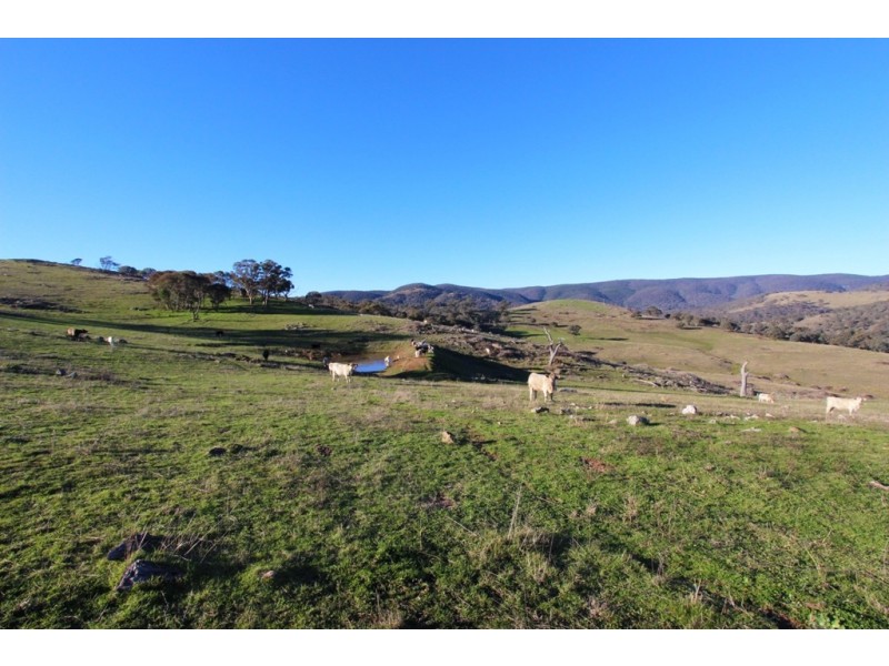 2216 McIntosh Road, Freemantle NSW 2795