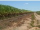 Giru QLD 4809
