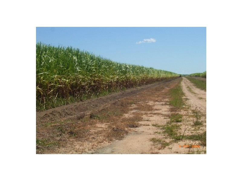 Giru QLD 4809