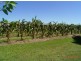 Giru QLD 4809