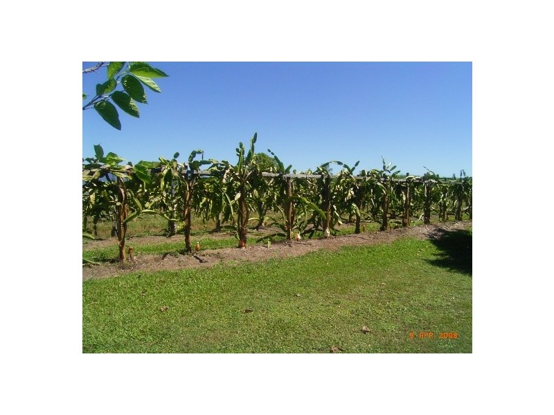 Giru QLD 4809