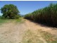 Giru QLD 4809