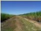 Giru QLD 4809