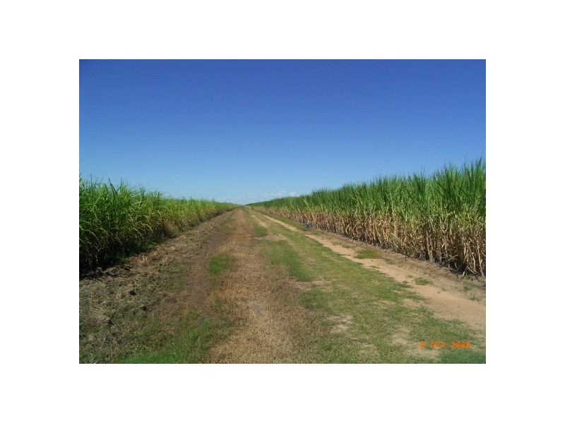 Giru QLD 4809