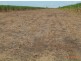 Giru QLD 4809