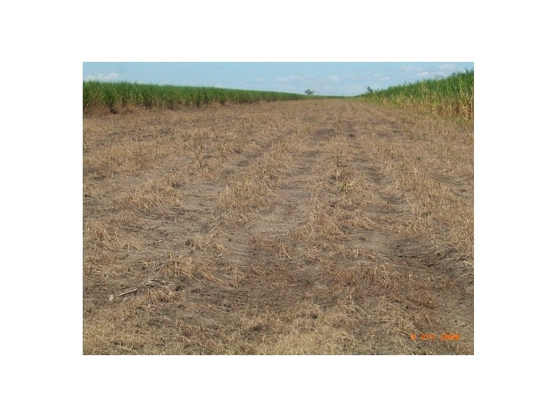 Giru QLD 4809