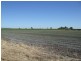Home Hill QLD 4806