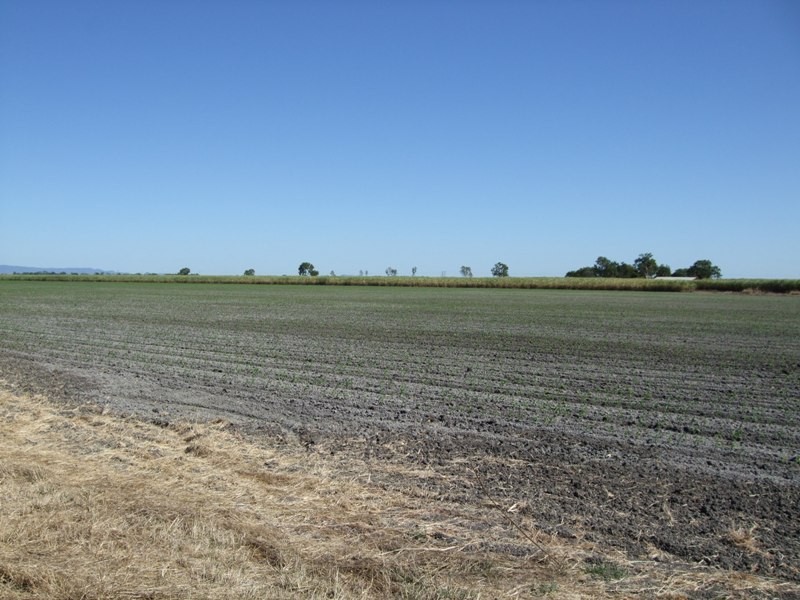 Home Hill QLD 4806
