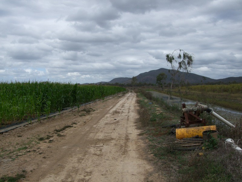 Home Hill QLD 4806