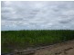 Home Hill QLD 4806