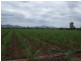 Home Hill QLD 4806