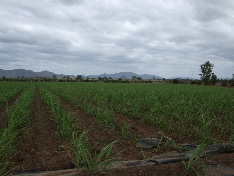 Home Hill QLD 4806