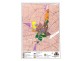 Ayr QLD 4807