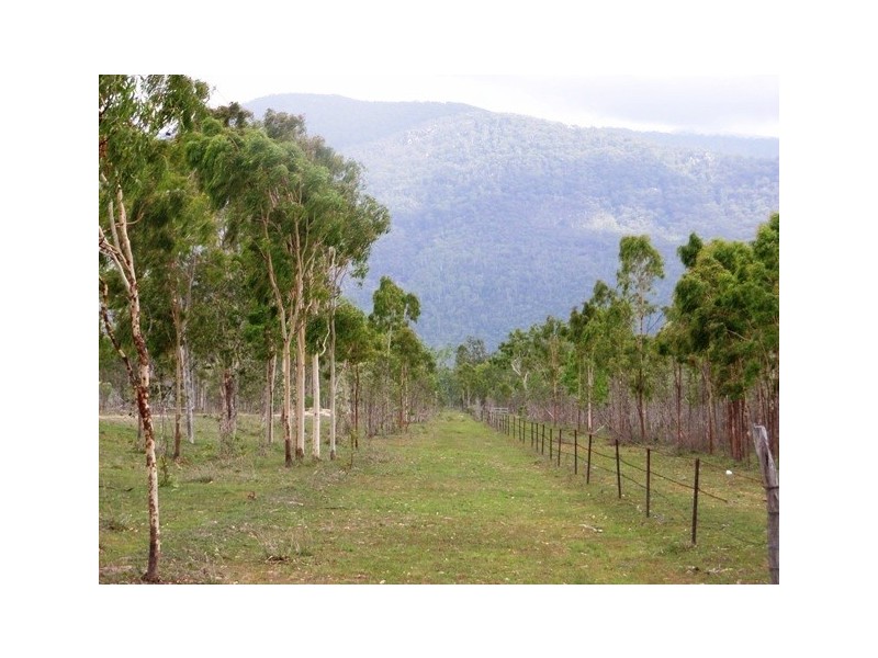 Majors Creek QLD 4816