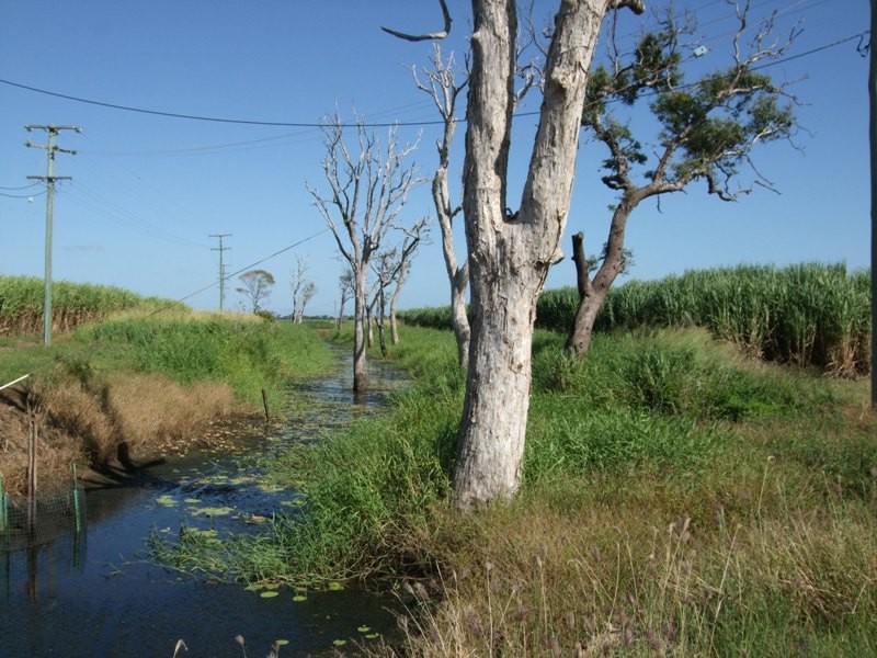 Ayr QLD 4807