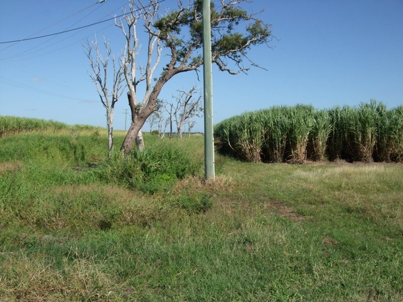 Ayr QLD 4807